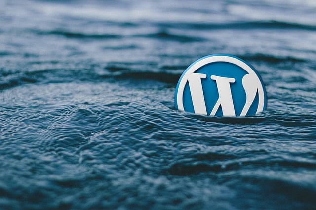 WordPress Security: 20 Ways to Keep Your Website Safe